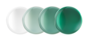 EMERALD-GEN8-FANNED-OUT_4-LENSES_lowres4